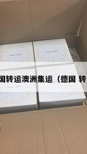 德国美国转运澳洲集运（德国 转运公司）