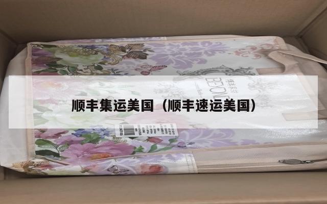 顺丰集运美国（顺丰速运美国）