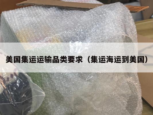 美国集运运输品类要求（集运海运到美国）