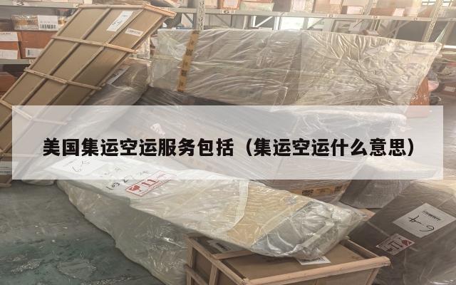 美国集运空运服务包括（集运空运什么意思）