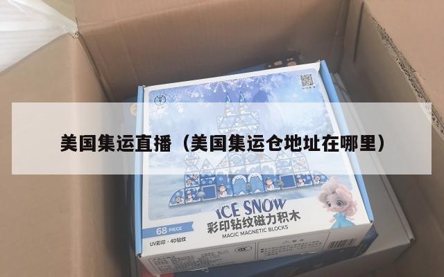 美国集运直播（美国集运仓地址在哪里）