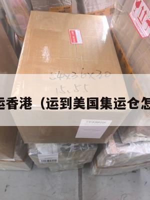 美国集运香港（运到美国集运仓怎么联系）