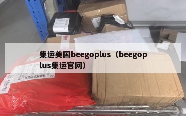 集运美国beegoplus（beegoplus集运官网）