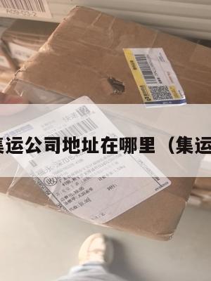 美国集运公司地址在哪里（集运 美国）