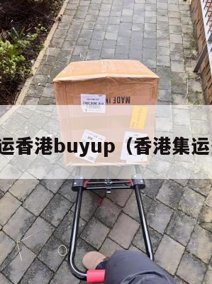 美国集运香港buyup（香港集运多少钱）