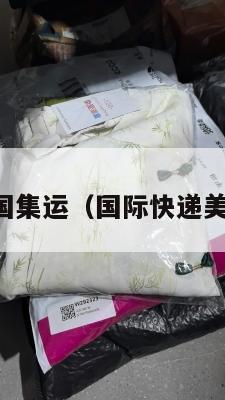 国际快递美国集运（国际快递美国集运价格）
