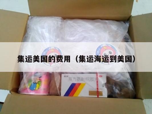 集运美国的费用（集运海运到美国）