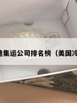 美国冷链集运公司排名榜（美国冷链运输）
