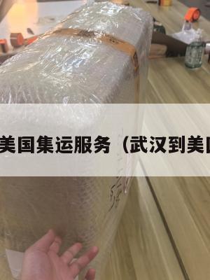 武汉到美国集运服务（武汉到美国快递）