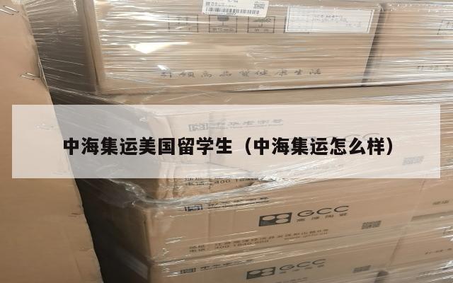 中海集运美国留学生（中海集运怎么样）