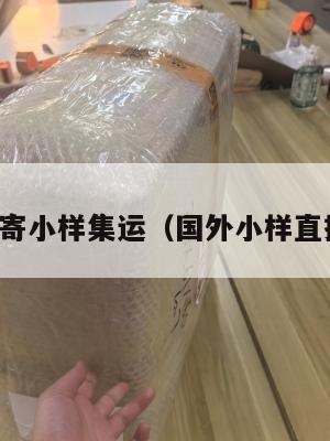 美国寄小样集运（国外小样直接拿）