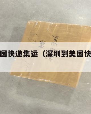 深圳到美国快递集运（深圳到美国快递集运价格）