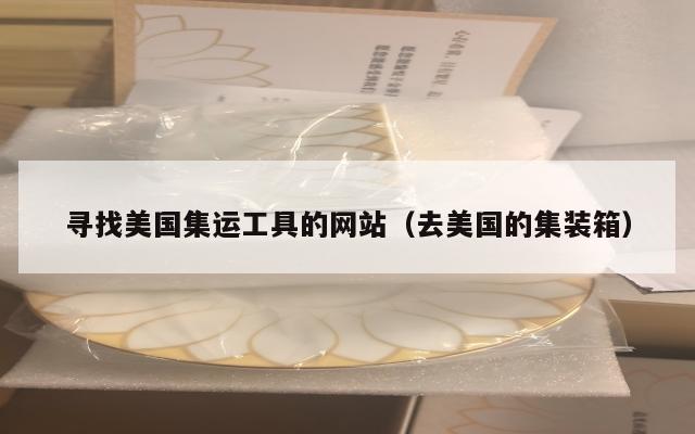 寻找美国集运工具的网站（去美国的集装箱）