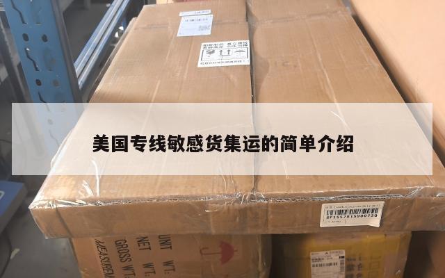美国专线敏感货集运的简单介绍