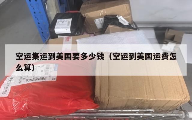 空运集运到美国要多少钱（空运到美国运费怎么算）