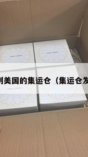 中国到美国的集运仓（集运仓发美国）