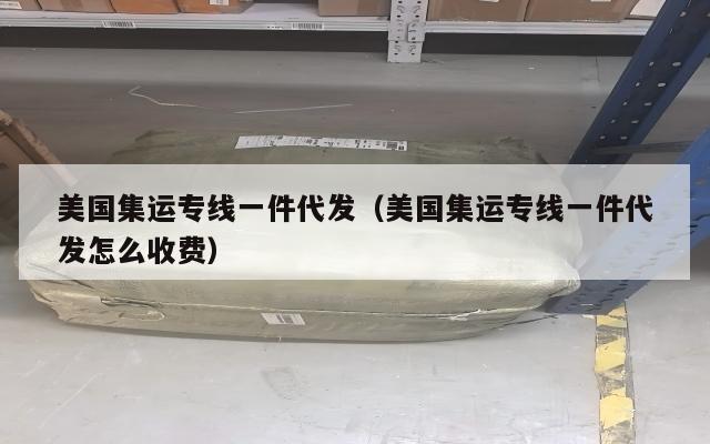 美国集运专线一件代发（美国集运专线一件代发怎么收费）
