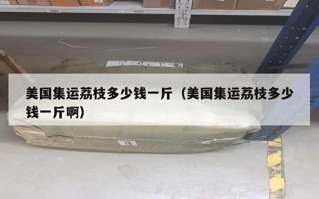 美国集运荔枝多少钱一斤（美国集运荔枝多少钱一斤啊）