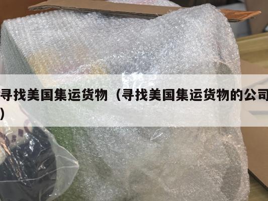 寻找美国集运货物（寻找美国集运货物的公司）