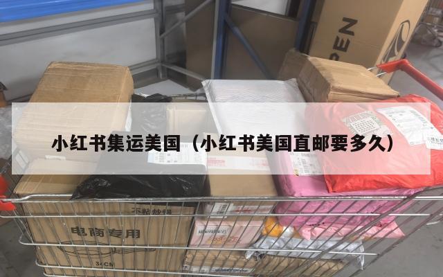 小红书集运美国（小红书美国直邮要多久）