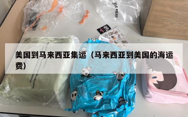 美国到马来西亚集运（马来西亚到美国的海运费）