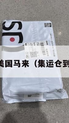 国际集运美国马来（集运仓到马来西亚）