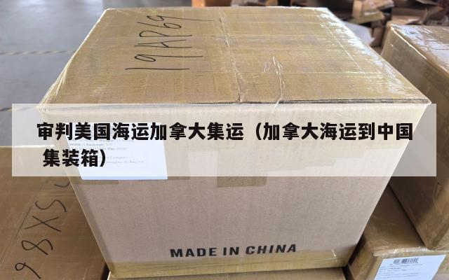 审判美国海运加拿大集运（加拿大海运到中国 集装箱）