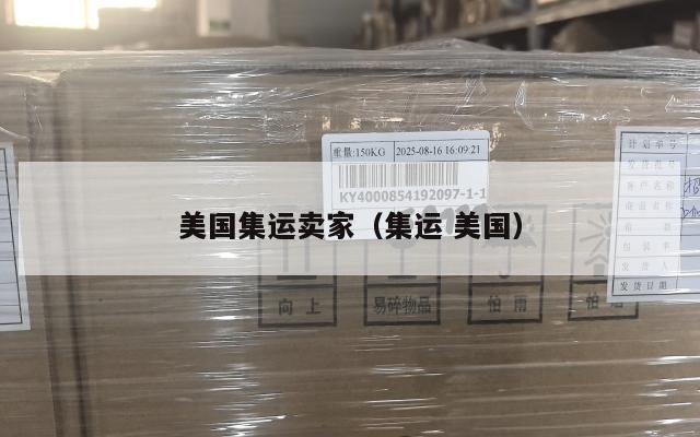 美国集运卖家（集运 美国）
