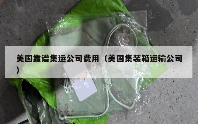 美国靠谱集运公司费用（美国集装箱运输公司）