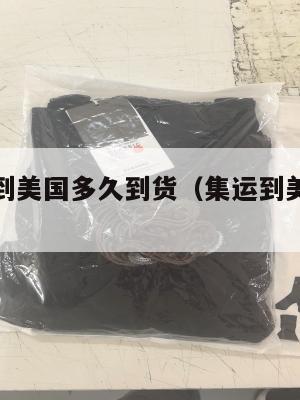 集运海运到美国多久到货（集运到美国要多久）