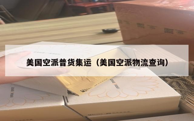 美国空派普货集运（美国空派物流查询）