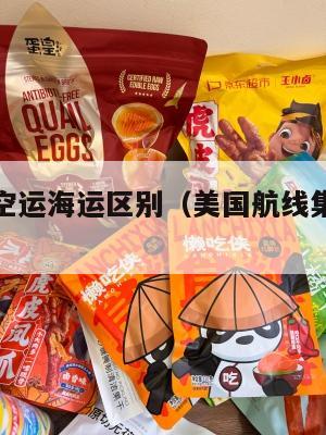 美国集运空运海运区别（美国航线集装箱海运价格暴涨）