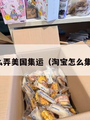 淘宝怎么弄美国集运（淘宝怎么集运国外）