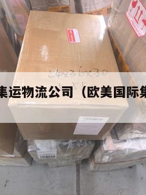 欧美国际集运物流公司（欧美国际集运物流公司怎么样）