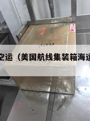 美国集运空运（美国航线集装箱海运价格暴涨）