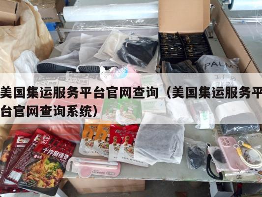 美国集运服务平台官网查询（美国集运服务平台官网查询系统）