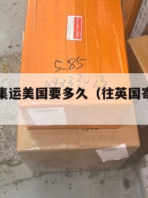 英国药品集运美国要多久（往英国寄药品怎么寄）