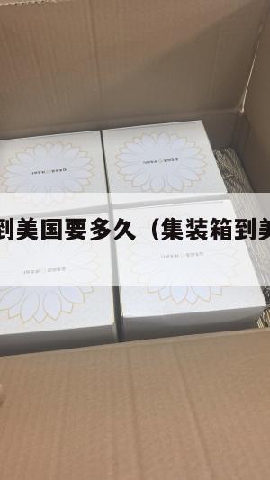 集运空运到美国要多久（集装箱到美国海运要多久）