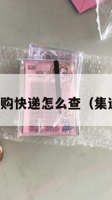 集运美国代购快递怎么查（集运怎么查询）