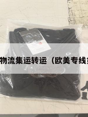 欧美国际物流集运转运（欧美专线货运代理）
