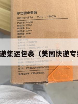 美国快递集运包裹（美国快递专线查询）