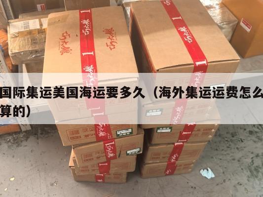 国际集运美国海运要多久（海外集运运费怎么算的）