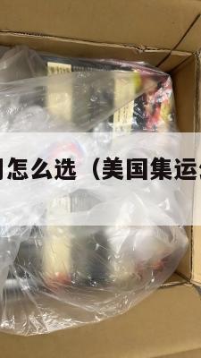 美国集运公司怎么选（美国集运公司怎么选择）