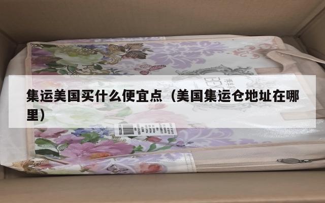 集运美国买什么便宜点（美国集运仓地址在哪里）