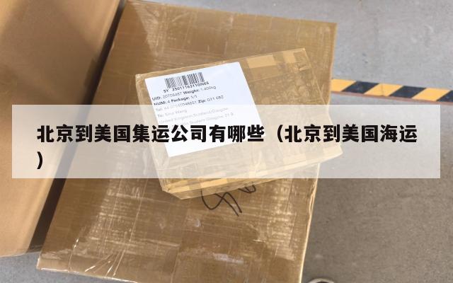 北京到美国集运公司有哪些（北京到美国海运）