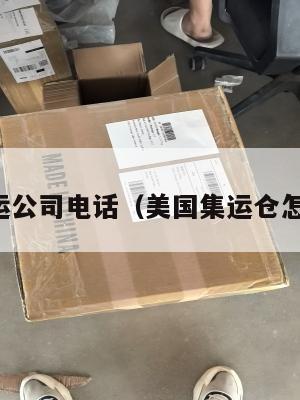 美国集运公司电话（美国集运仓怎么收费）