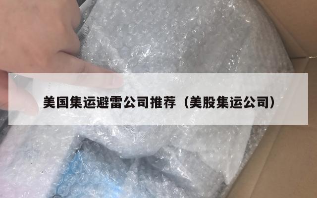 美国集运避雷公司推荐（美股集运公司）