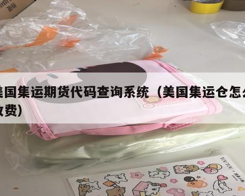 美国集运期货代码查询系统（美国集运仓怎么收费）
