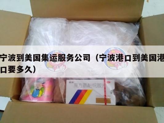 宁波到美国集运服务公司（宁波港口到美国港口要多久）