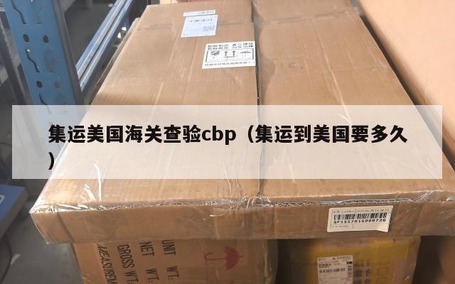 集运美国海关查验cbp（集运到美国要多久）